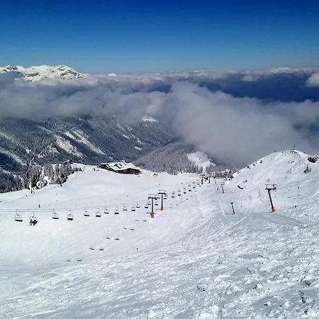 Bella Montana فغن